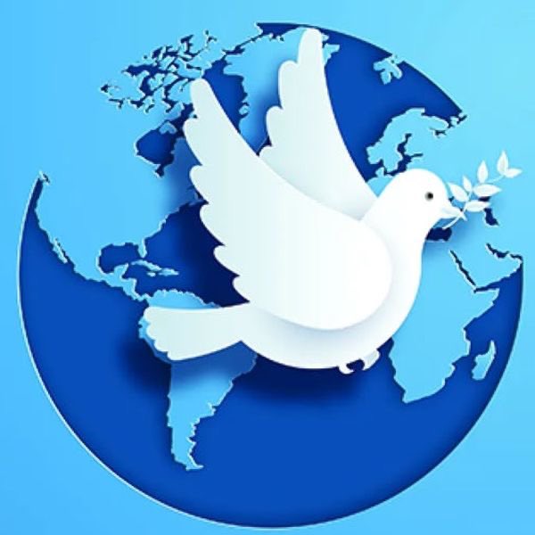 A white dove carrying an olive branch flies across a stylized blue globe showing the continents, symbolizing world peace.

The image of a peace dove over Earth thematically contrasts with the post's defiant claim that it's "mathematically impossible" for the coin to flip against the owner, juxtaposing idealistic global harmony with an assertive projection of guaranteed market returns.