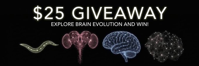 A promotional graphic for a "$25 GIVEAWAY" with the subtitle "EXPLORE BRAIN EVOLUTION AND WIN!" featuring illustrations of a worm, kidneys, a brain, and a neural network.