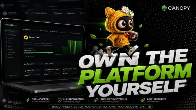 The image features an advertisement for a cryptocurrency called @CNPY Network, which promotes the idea of making infrastructure invisible through blockchain technology. The text in the image emphasizes this concept by stating "Focus on what is in the image and how it relates to the post". This suggests that the main selling point of the platform is its ability to provide a simpler way for developers to launch Layer 1 networks without getting entangled in complex infrastructure stacks.