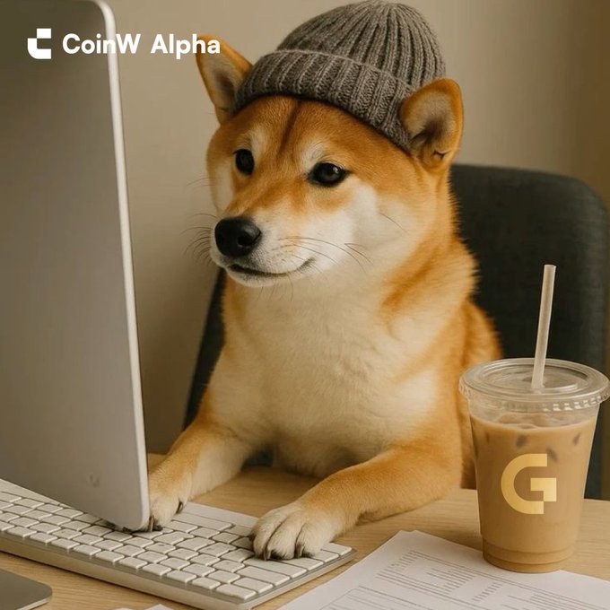 A Shiba Inu dog wearing a gray beanie sitting at a desk with a laptop and iced coffee, with 'CoinW Alpha' logo in the corner.