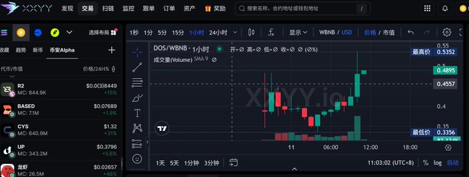 A cryptocurrency trading interface on XYY.io displaying a price chart for 'DOS/WBNB' with a current price of 0.4895, alongside a watchlist of various tokens.