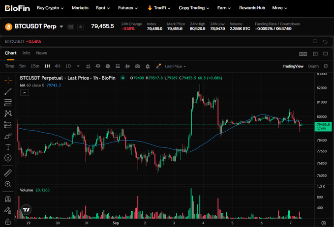 A BloFin cryptocurrency trading interface showing the BTCUSDT Perpetual chart with a current price of 79,455.5 and a 0.58% 24-hour decline.