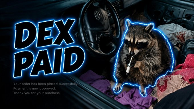Meme image with neon blue 'DEX PAID' text featuring a raccoon holding a cigar lighter in front of a messy car interior, captioned 'Your order has been placed successfully. Payment is now approved.'