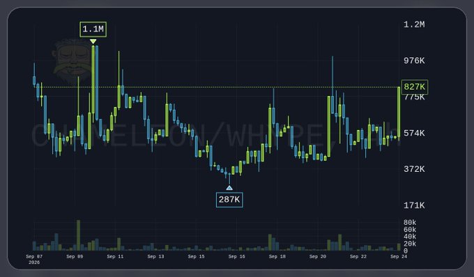 A candlestick chart of COIN (Coinbase) stock/whale activity showing a high of 1.1M and low of 287K across late September 2026.