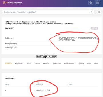 A screenshot of a blockchain explorer interface showing an account page with a public key, a subdomain 'accountsfrouns09', and a balance highlighted in red circles.