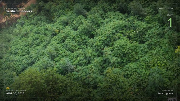 An aerial view of dense green forest canopy with overlay text reading 'verified outdoors', 'CURRENT STREAK DAY 1', 'AUG 30, 2026', and 'touch grass'.