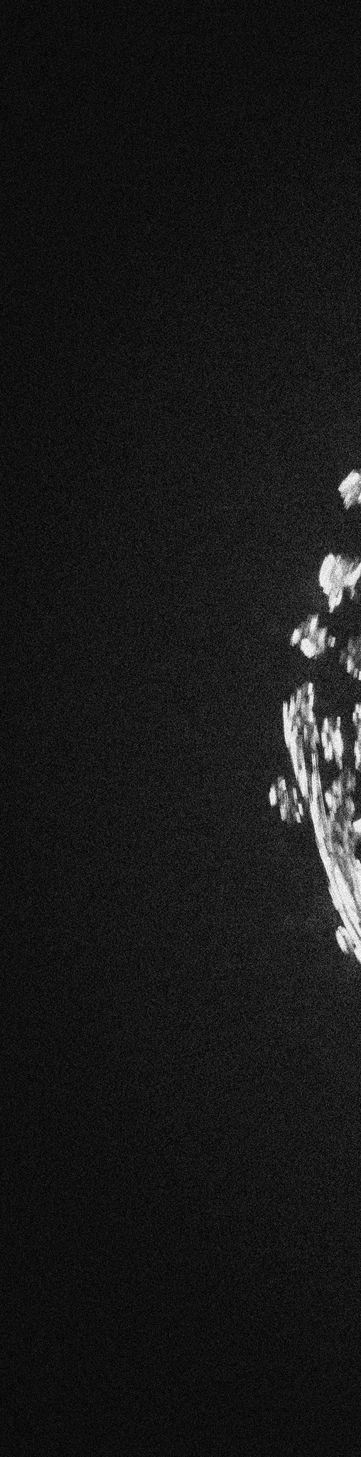 A mostly black, grainy image with what appears to be faint white brushstrokes or texture visible only on the far right edge of the frame.