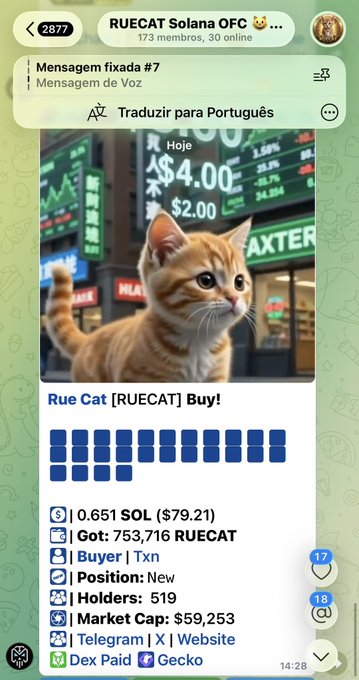 A screenshot from a Telegram group "RUECAT Solana OFC" shows a pinned message featuring an orange kitten in front of a stock board with the caption "Rue Cat [RUECAT] Buy!" and details indicating a new position of 753,716 RUECAT tokens at 0.651 SOL ($79.21), reinforcing the post's encouragement to buy and hold $RUECAT.