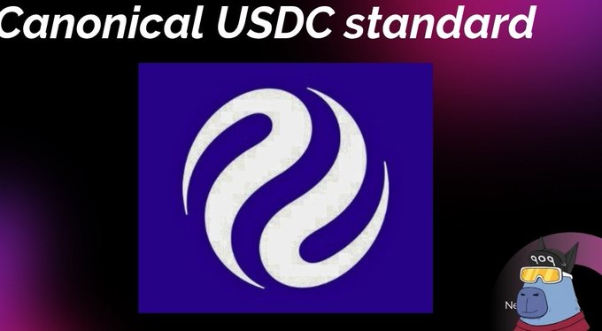 The image features a logo of a circle with two swirls inside, set against a purple background. The text "Canonical USDC Standard" is written above the logo, indicating that this is an advertisement for Canonical USDC Standard. Below the logo, there's a small cartoon character wearing goggles and a helmet, which adds a playful touch to the overall design of the image.