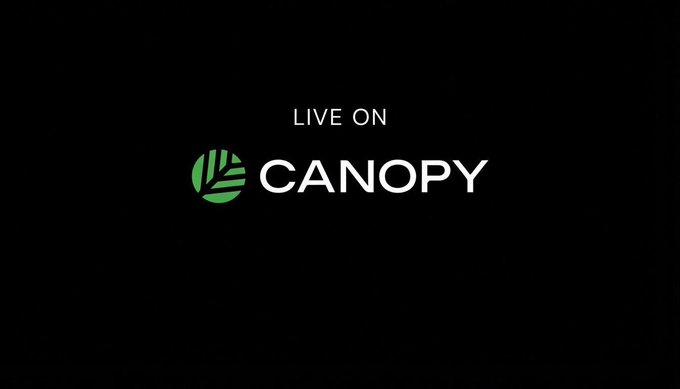 A black screen with the text 'LIVE ON' above the green leaf logo and white text 'CANOPY'.