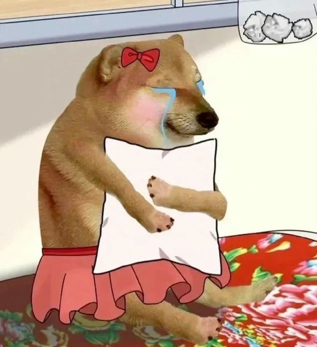 A humorous edited image shows a brown dog with a red bow on its head, crying with cartoon tears while hugging a white pillow and wearing a pink skirt.