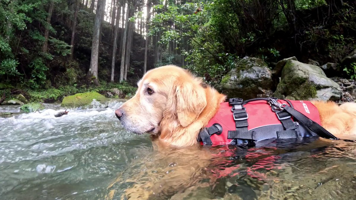 None