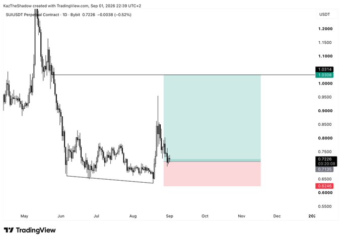 A TradingView daily chart of SUI/USDT Perpetual Contract showing a long setup with entry near 0.71, targeting the 1.03–1.10 resistance area (teal zone), with invalidation marked below 0.6525 (red zone), aligning with the post's bullish divergence and golden pocket bounce thesis.
