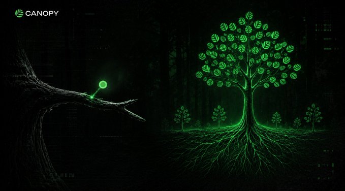 A dark digital artwork branded 'CANOPY' showing a small glowing green tree on a branch on the left connected by a line to a larger illuminated tree with visible roots on the right.