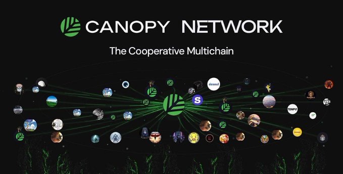 A promotional graphic for 'CANOPY NETWORK' with the tagline 'The Cooperative Multichain', showing a network of circular avatars connected by green lines around a central logo.