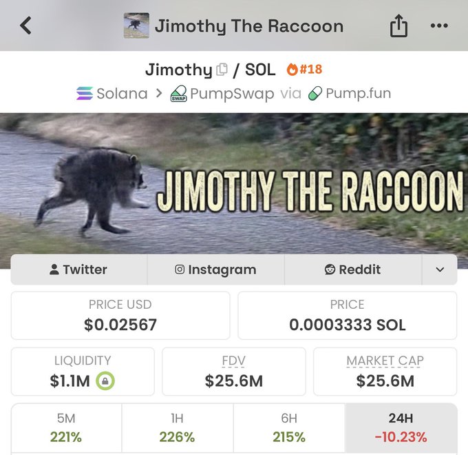 The image shows a DexScreener listing for the "Jimothy The Raccoon" ($JIMOTHY) meme coin on Solana via PumpSwap/Pump.fun, displaying a price of $0.02567 (0.0003333 SOL) with $1.1M liquidity and a $25.6M market cap, alongside percentage gains of 221% (5M), 226% (1H), and 215% (6H) but a -10.23% drop over 24H. The meme-themed coin, featuring a raccoon image, aligns with the post's bullish sentiment of "blasting Solana" into the token to run up its price, with the chart data supporting the recent surge despite the 24-hour dip.