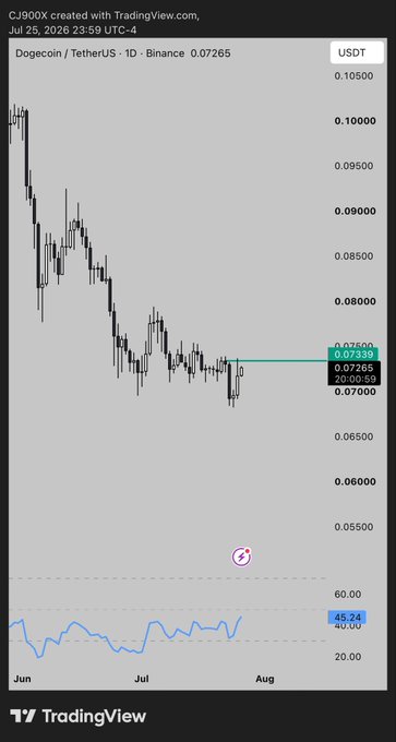 A TradingView candlestick chart of DOGE/USDT on Binance displays a daily timeframe downtrend, with price attempting to break above a key horizontal resistance near $0.07265, highlighted as the level where "the party starts" if DOGE closes above this zone.