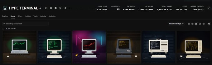 Screenshot of the Hype Terminal website showing a dashboard with cryptocurrency trading data including FLOOR PRICE 1.18 HYPE, 24H VOLUME 2,083.74 HYPE, and TOTAL VOLUME 2,883.74 HYPE, displaying various NFT items.