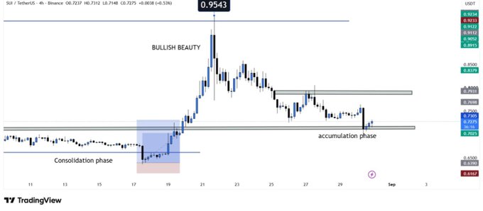 A 4-hour SUI/USDT chart on Binance shows price at 0.9543 (highlighted in a black box), with annotated phases marking a "Consolidation phase," "Bullish Beauty," and current "accumulation phase" near the 0.7305–0.7858 support and resistance zones. The chart visually confirms the post's claim of price defending the $0.70–$0.73 support area after a pullback, setting up a potential recovery toward the highlighted $0.79 and $0.85 resistance levels.