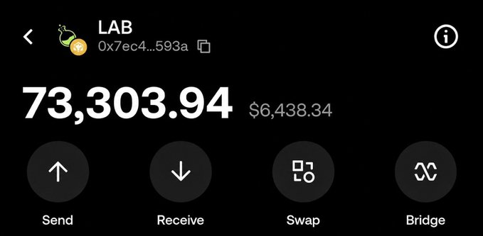 A cryptocurrency wallet interface shows "LAB" token with address "0x7ec4...593a", a balance of "73,303.94" valued at "$6,438.34", with buttons for Send, Receive, Swap, and Bridge options.