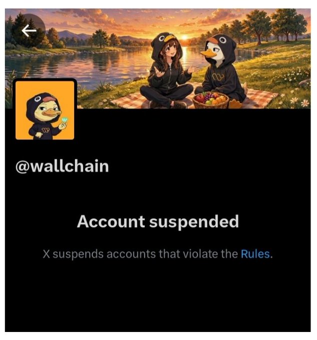 It appears that an account from the Wallchain social media platform has been suspended, as indicated by the message "Account suspended". The reason for suspension is not explicitly stated, but it could be due to various factors such as violating rules or posting inappropriate content. The post also mentions a character in a penguin costume and a picnic scene, which might suggest that this account was suspended because of its content or behavior.