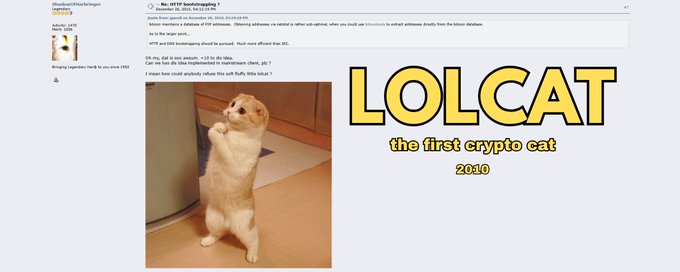 A post referencing the Bitcoin genesis block message with a photo of an orange cat standing on its hind legs, labeled 'LOLCAT the first crypto cat 2020.'