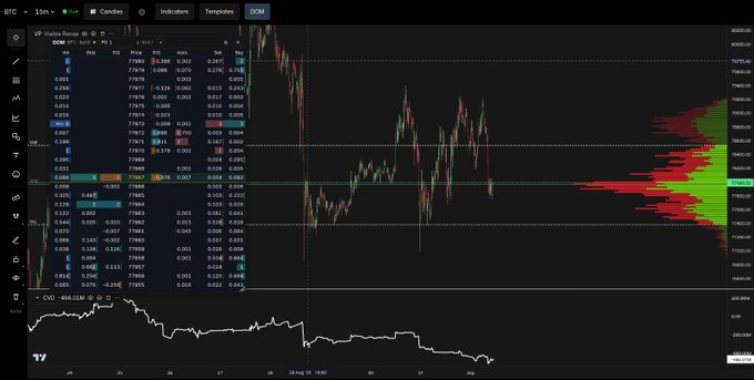 A Bitcoin (BTC) trading chart displays candlestick patterns, an order book, and a CVD (Cumulative Volume Delta) indicator, showing significant price volatility.