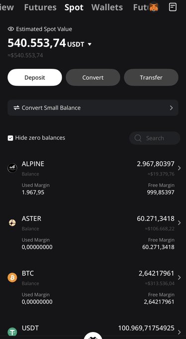 Cryptocurrency exchange wallet screen showing an estimated spot value of '540.553,74 USDT' with balances for ALPINE, ASTER, BTC, and USDT.