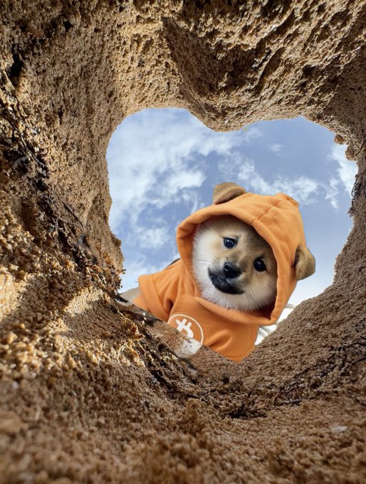 A small Shiba Inu puppy wearing an orange hoodie peers down through a heart-shaped hole in the sand, with a blue sky and clouds visible in the background.