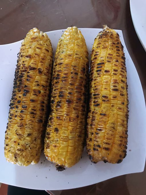 Three ears of grilled corn with charred kernels are served on a white square plate.