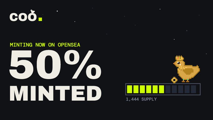Graphic showing 'COO' logo, 'MINTING NOW ON OPENSEA' and '50% MINTED' with a pixel art chicken and a 1,444 supply progress bar.
