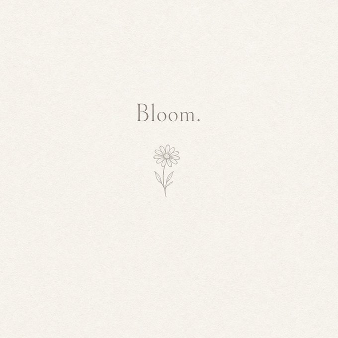 A minimalist image features a delicate grey line drawing of a daisy with the word 'Bloom.' written above it on a plain, light background.