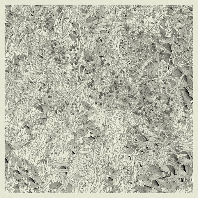 A detailed black and white line drawing depicting an intricate, dense pattern of grass, leaves, vines, and small berries or flowers.