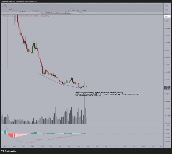 A TradingView chart of W (Wayfair) against BTC on a weekly timeframe shows a long downtrend from October 2023 lows to June 2024, with annotation noting "Double bullish divergence looking ready to be breaking upwards" and highlighting the 0.0098 support level. The accompanying post cites this bullish divergence setup as the reason for holding the pair despite its steep decline, expecting a strong upward momentum if support holds.