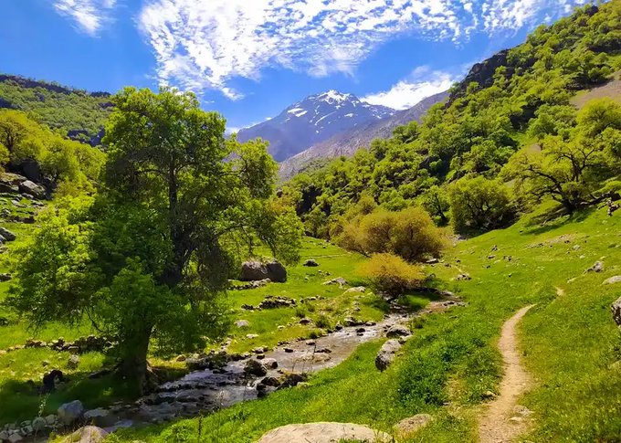 A scenic landscape featuring a snow-capped mountain in the distance, lush green hillsides, a large leafy tree, a rocky stream, and a winding dirt path under a partly cloudy blue sky.