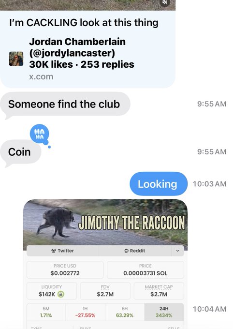 Jordan Chamberlain's tweet about "CACKLING" leads to a chat where users ask to find a "club" or "coin," followed by an image of "Jimothy the Raccoon" displaying a token with a 3434% 24-hour gain and a $2.7M market cap.