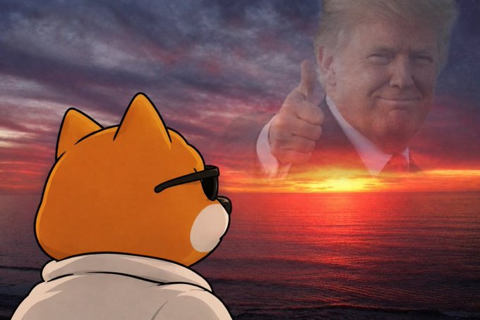 A digital illustration depicts a cartoon dog wearing sunglasses and a white hoodie watching a sunset over the ocean, while a giant image of Donald Trump giving a thumbs-up looms in the sky.