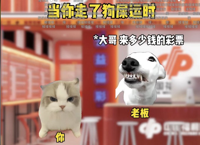 A meme featuring a grumpy white cat labeled "你" (you) and a grinning dog labeled "老板" (boss) in a lottery shop, with text reading "当你走了狗屎运时" (When you have dog shit luck) and "大哥来多少钱的彩票" (How much for the lottery tickets, bro?), humorously contrasting your jealous reaction to the boss's fortunate lottery success—matching the post about dog shit luck bringing good fortune.