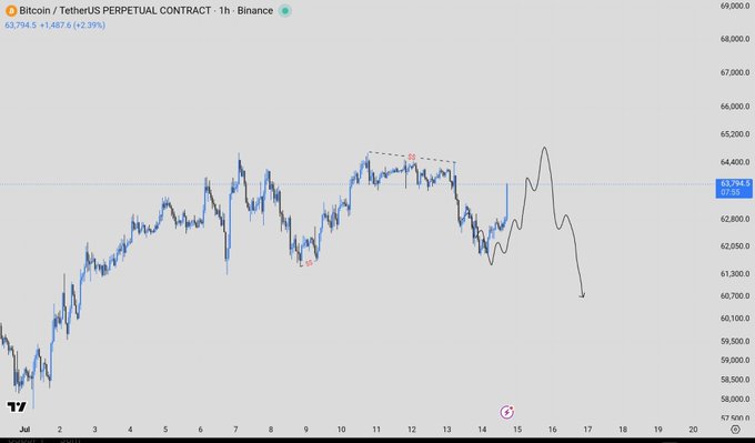 A 1-hour candlestick chart of the Bitcoin/TetherUS Perpetual Contract on Binance shows BTC priced at 63,794.5 (+1,487.6, +2.39%), with annotated "LTF" and "HH" markers highlighting liquidity-driven reversal points that align with the trader's call of a lower timeframe reversal in $BTC.