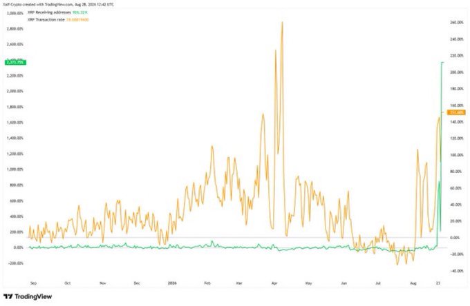 A TradingView chart titled 'Self Crypto created with TradingView.com' from August 20, 2020, shows XRP receiving whales and XRP transaction rate percentages over time.