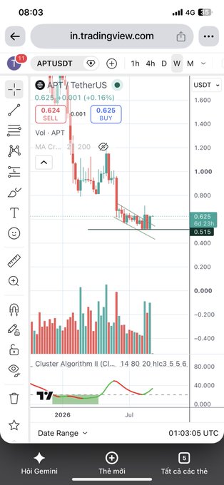 A mobile screenshot of TradingView showing a chart for APTUSDT (Aptos/TetherUS) with a price of 0.625 USDT, displaying both the candlestick chart and volume bars with an indicator below.