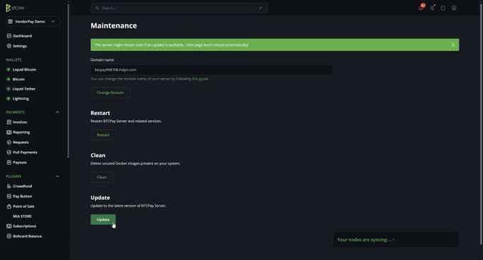 The image displays the BTCPay Server Maintenance settings page, with the "Update" section highlighted and a green success banner indicating that the server has been updated successfully. This relates to the post by showing users where to navigate to update their BTCPay Server to the latest version, which addresses the disabled CLN and Eclair routes mentioned.