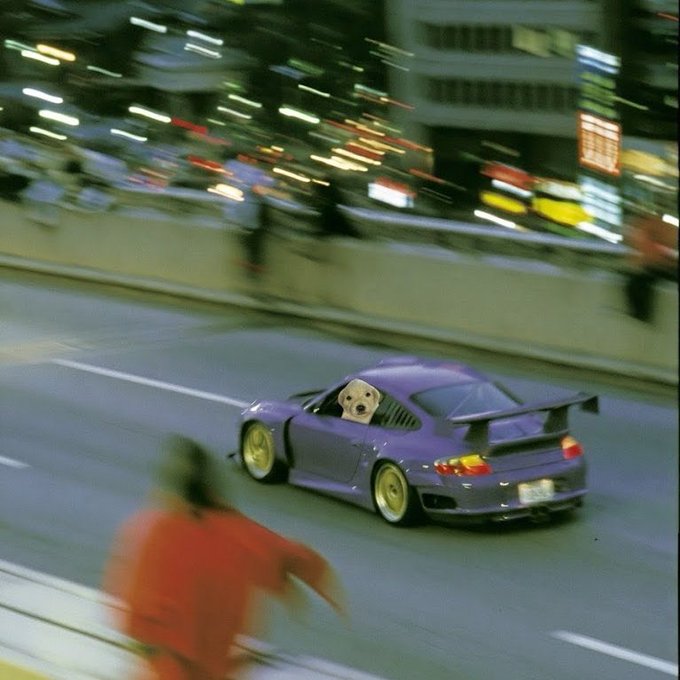 A purple sports car with a small dog visible through the window, driving past a blurred figure in a city setting.