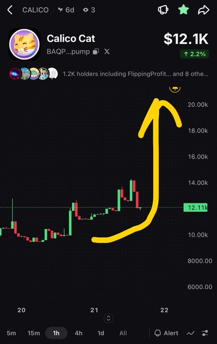 A cryptocurrency trading chart for the "Calico Cat" token (BAQP...pump) showing a current price of $12.1K with a 2.2% increase, held by 1.2K holders, featuring a large yellow hand-drawn arrow pointing upward.