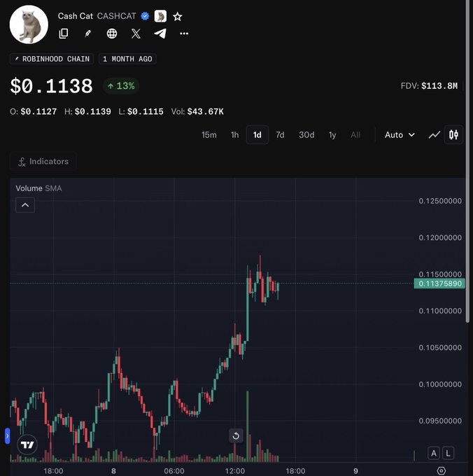 Cryptocurrency price chart for Cash Cat (CASHCAT) on Robinhood Chain, showing a price of $0.1138 with a 13% increase and an FDV of $113.8M.