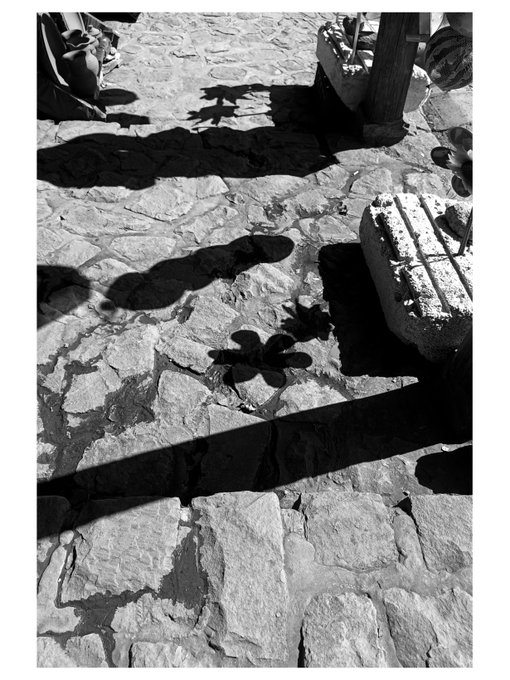 A black and white photograph showing shadows of people and plants cast on a textured stone pavement.
