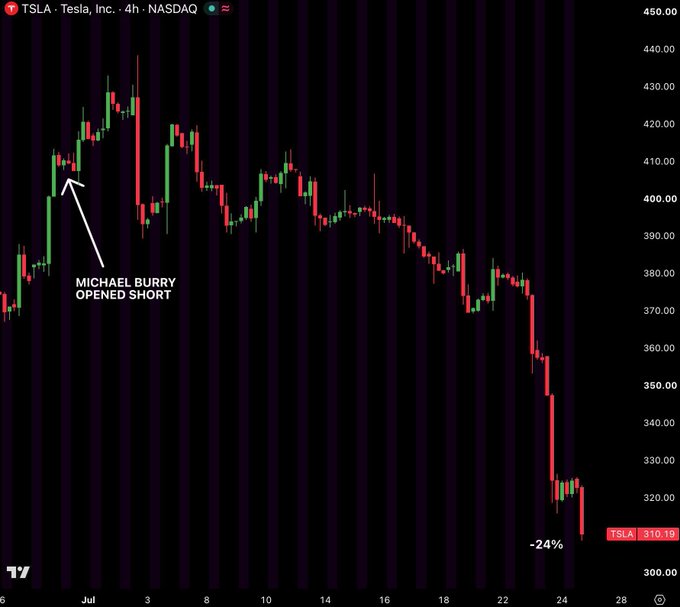 A 4-hour candlestick chart of TSLA on NASDAQ shows the stock declining from ~$430 to $310.19, with annotations indicating Michael Burry opened a short position near the highs and a "-24%" drop label near the recent bottom. The chart visually supports the post's claim that Tesla has significantly declined since Burry's short position was established.
