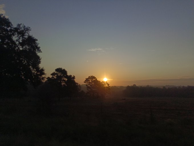 A scenic landscape photograph capturing a sunrise over a misty field, with silhouetted trees in the foreground and a gradient blue sky above.