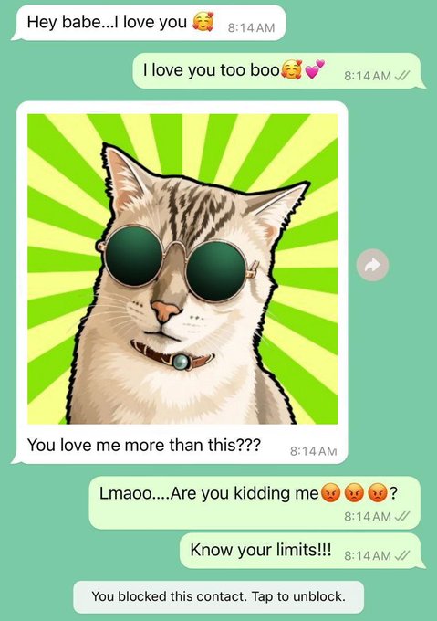 Screenshot of a messaging conversation where someone sends 'I love you' followed by a sticker of a cat with sunglasses, leading to humorous accusations of 'You love me more than this???' and the sender getting blocked.