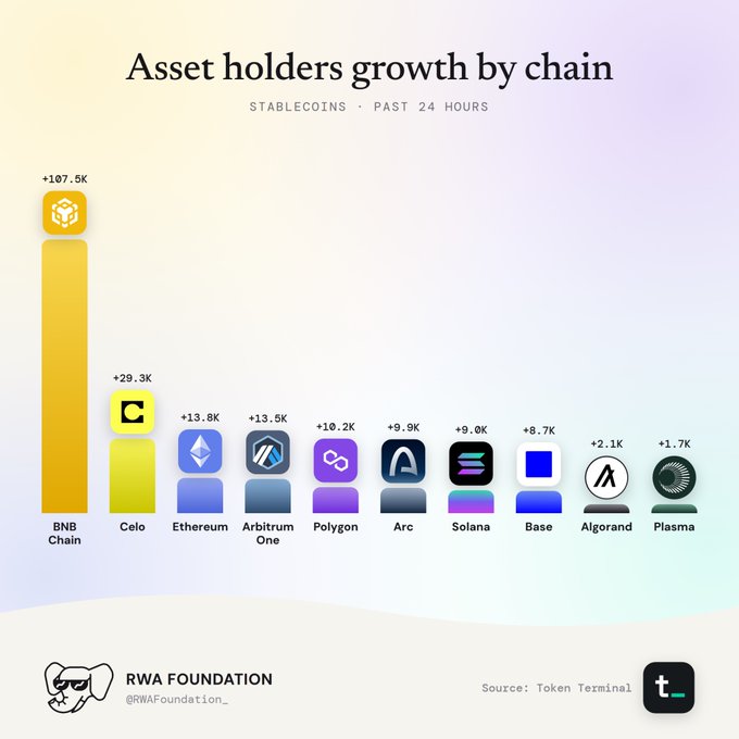 A bar chart titled 'Asset holders growth by chain' for stablecoins over the past 24 hours, showing BNB Chain leading with +107.5K, followed by Celo (+29.3K), Ethereum (+13.8K), and others, sourced from Token Terminal by RWA Foundation.